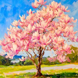 Magnolia Tree in Full Bloom