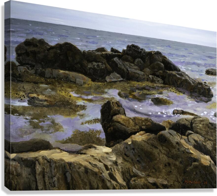 Ebb Tide Canvas Print