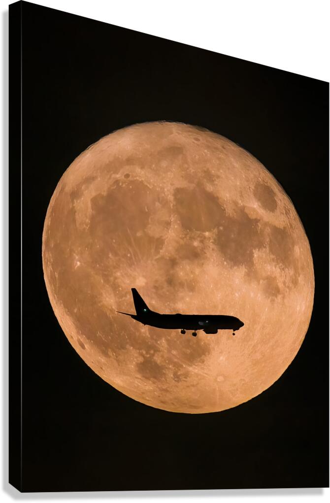 Moon Landing Canvas Print