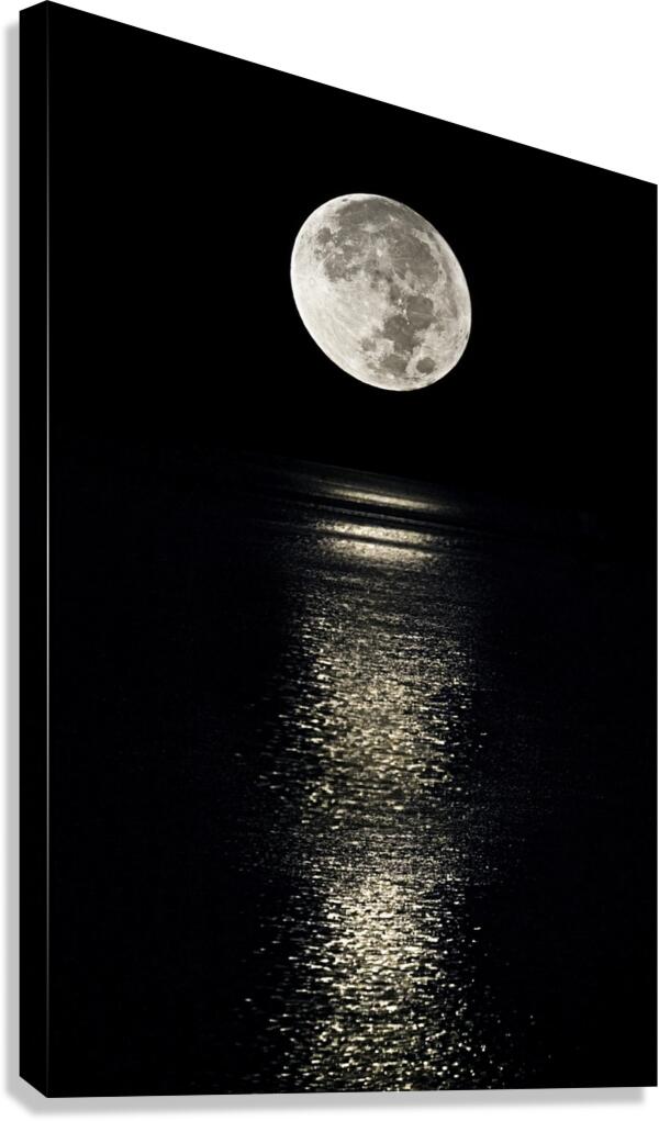 Tidal Moonbeam Canvas Print