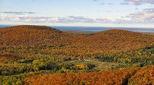 Fall colour Sault Ste. Marie