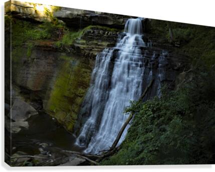 Brandywine Falls Canvas Print