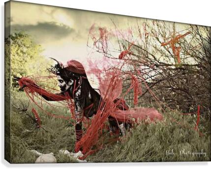 mayhem Canvas Print