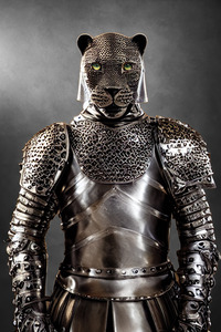 Knight Leopard