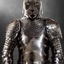 Knight Leopard
