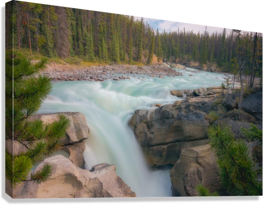 Sunwapta Falls Canvas Print