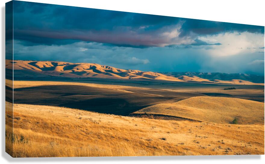 Rolling Grasslands Canvas Print