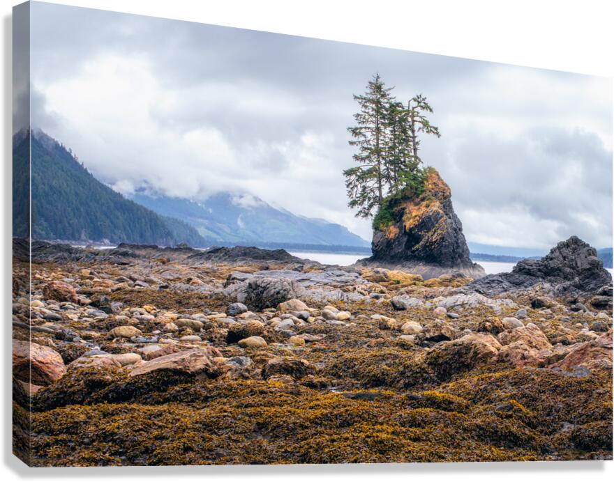Low Tide Canvas Print