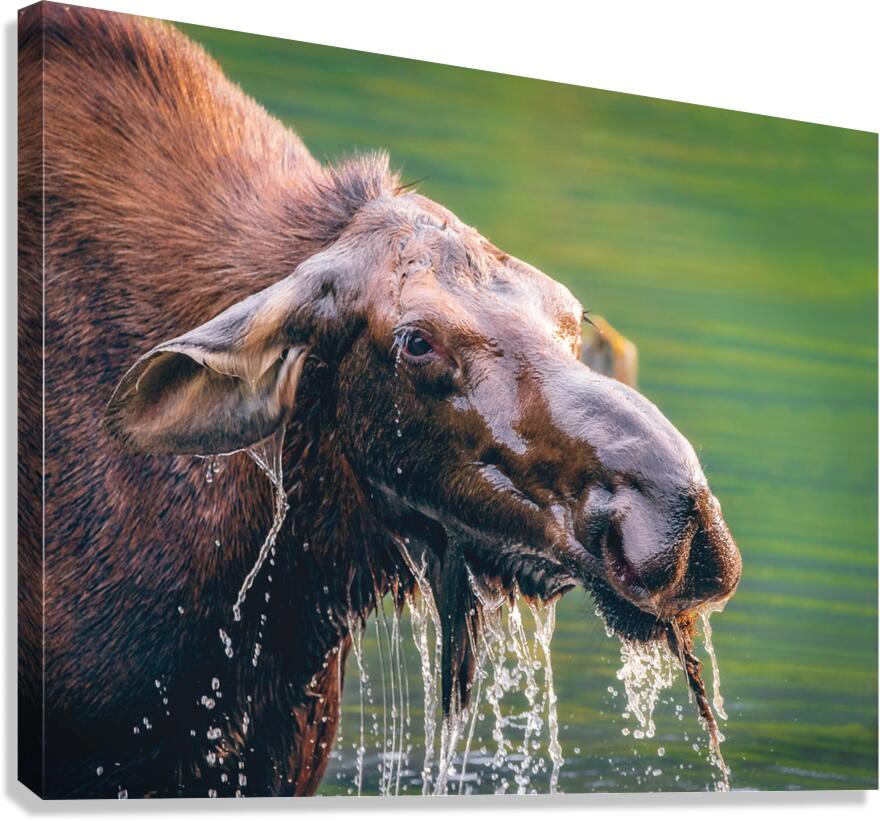 Mama Canvas Print