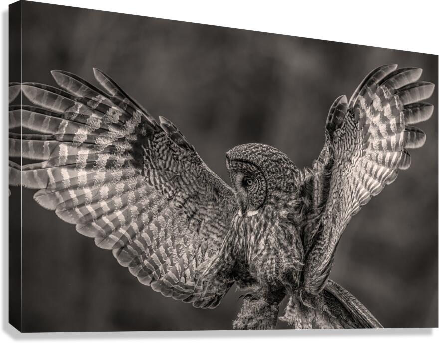 GGO 37 Canvas Print