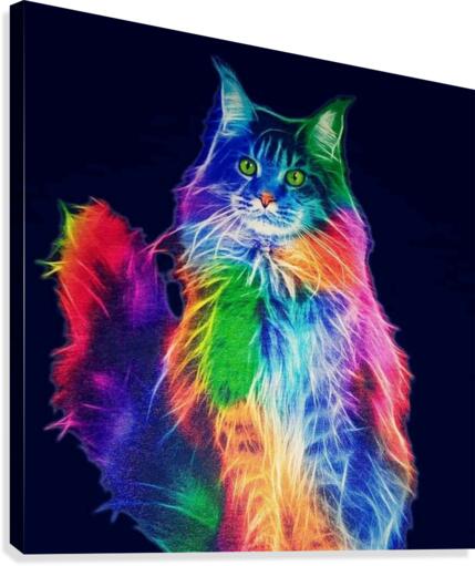 COLOURFUL CAT Canvas Print