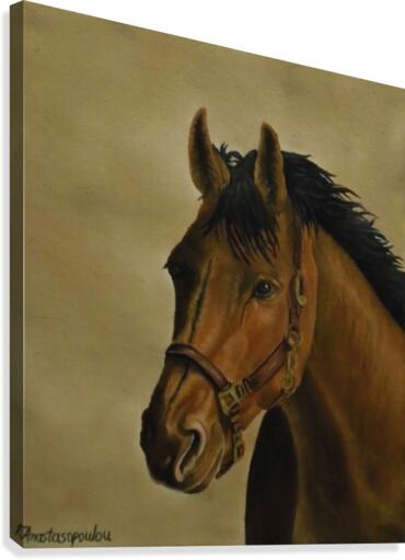 Elegance Canvas Print