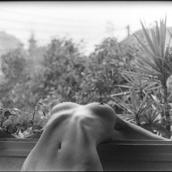 Nude at the window
