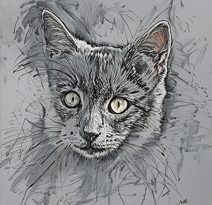 ArtXcl 167 Cat photo