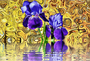 Arte 052 iris in water 