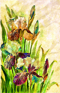 ArtXcl 056 garden flowers enhanced