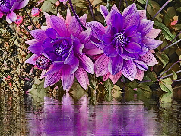 Arte 145 Dahlias Flowers pastel-paint-style Print