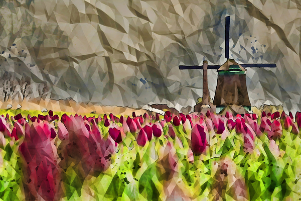 ArtXcl 155 Windmill field with tulips polyart-paint-style Print