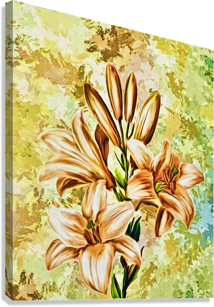 Arte 142 Flowers enhanced digitized style Canvas Print