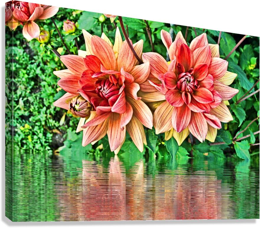 Arte 144 Dahlias Flowers enhanced-paint-style  Canvas Print