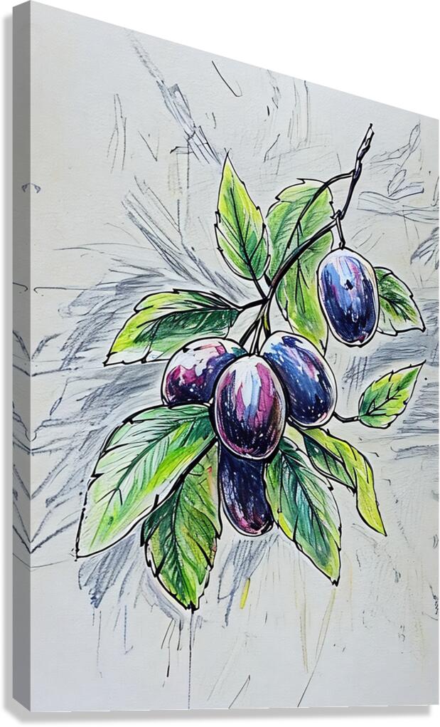 ArtXcl 029 grapes illustration Canvas Print