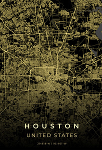Houston Texas City Map Print