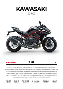 Kawasaki Z H22