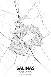 Salinas California City Map Print