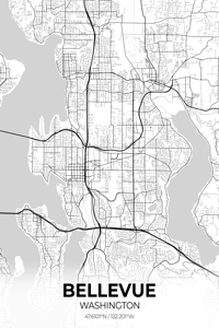 Bellevue Washington City Map Print