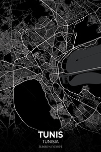 Tunis Tunisia City Map Print