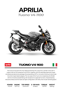 Aprilia Tuono V4 11003