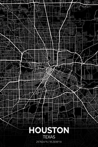 Houston Texas City Map Print