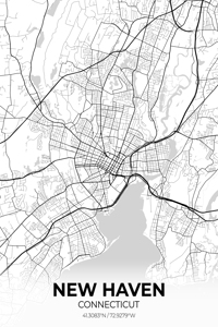 New Haven Connecticut City Map Print