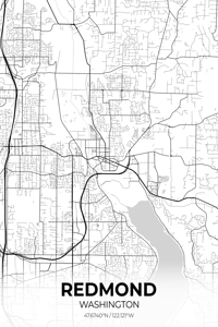 Redmond Washington City Map Print