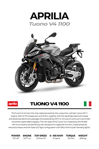 Aprilia Tuono V4 11002