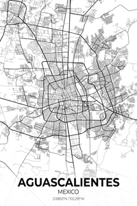 Aguascalientes Mexico City Map Print