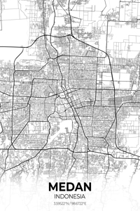 Medan Indonesia City Map Print