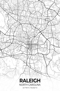 Raleigh North Carolina City Map Print