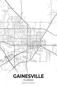 Gainesville Florida City Map Print