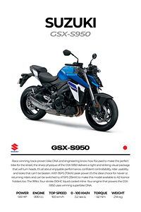 Suzuki GSX S9502