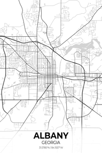 Albany Georgia City Map Print