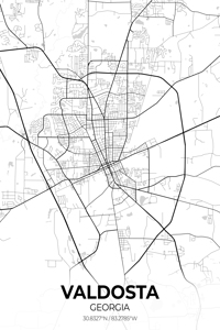 Valdosta Georgia City Map Print