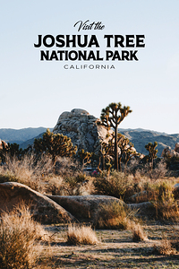 Joshua Tree National Park
