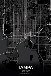 Tampa Florida City Map Print