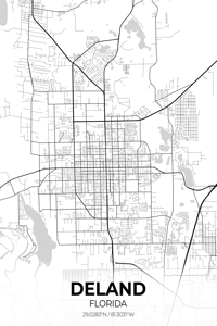 DeLand Florida City Map Print