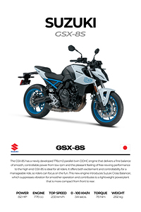Suzuki GSX 8S