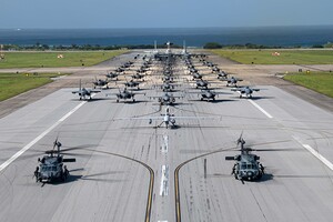 Elephant Walk