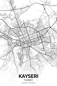 Kayseri Turkey City Map Print