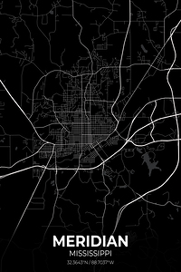 Meridian Mississippi City Map Print