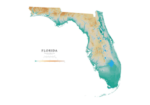 FL 24x36in